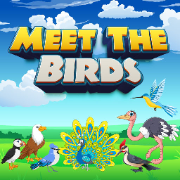 Meet The Birds game